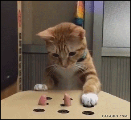 cat playing Whac-A-Mole